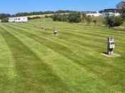 Grass Electric Pitches