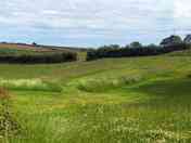 Buttercup tent pitch