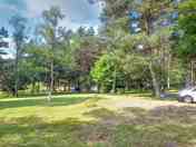 Pitches shaded by trees