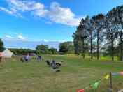 Families enjoying barbecues