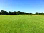 Grassy camping area