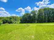 Camping meadow lined by trees