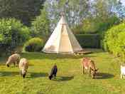 Tipi in its private garden, plus the eco-friendly lawn mowers