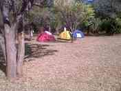 Lots of trees around