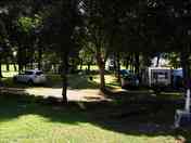 Pitches under the trees