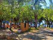 Pitches among the trees