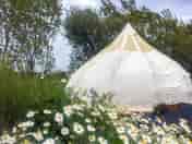 Bell tent surrounded by ornamental grasses and wild flowers (added by manager 19 Dec 2022)