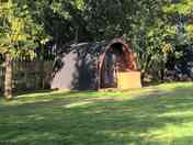 Pod
