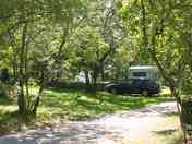 Spacious pitches shaded by leafy trees