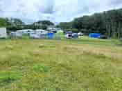 Grass pitches surrounded by trees (added by manager 26 Oct 2022)
