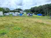 Grass pitches surrounded by trees