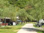 Tree-shaded site