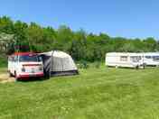 Grass pitches
