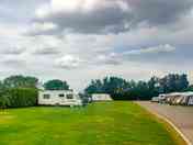 Pitches on site