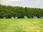 Grass pitches