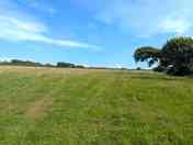 Field view