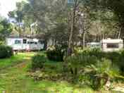 Pitches area