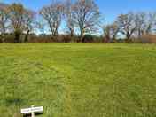 1st Meadow