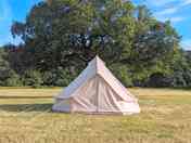 Bell Tent under Oak in the meadow (added by manager 04 Aug 2021)