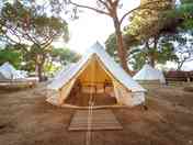 Bell XL tents (added by manager 29 Feb 2024)