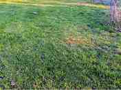 Pitches on the grass