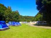 Sunny days over the pitches