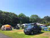 Happy Camping