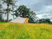 The Pines bell tent