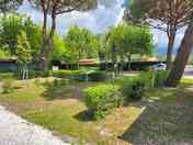 piazzola media