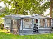 Grass pitch under trees