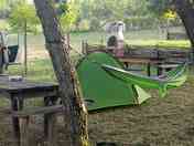 Pitches under the trees
