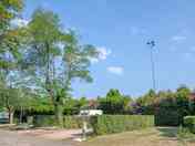 Grass pitch