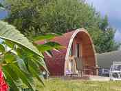 Pods