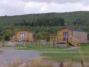 The Hen Harrier and the Buzzard from on site