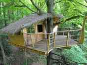 Exterior view of the treehouse and terrace