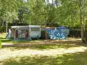 Pitches on site