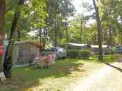 Pitches under the trees
