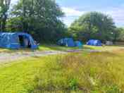 Hard standing pitches on the side of the meadow, suitable for Camper Vans or tents alike.