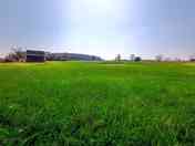 Open meadow