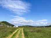 Field