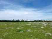 Grass pitches