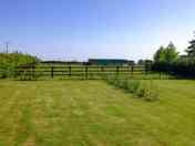 Freshly cut grass