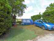 Spacious pitches shaded by trees