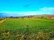 Camping area