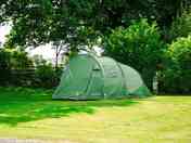 Electric Grass Pitch