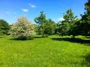 Small Meadow pitches