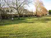 Grass pitch