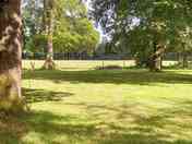 The site