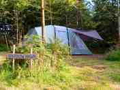 Woodland pitch surrounded by tall trees (added by manager 04 Jun 2019)