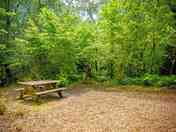 Woodland camping